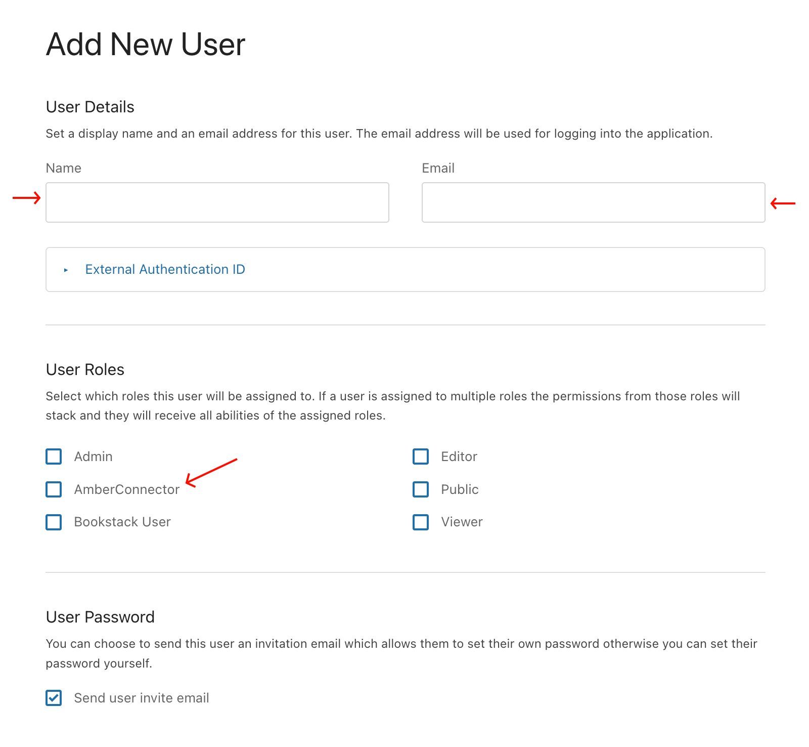 Add New User form — fill in Name, Email and assign AmberConnector role